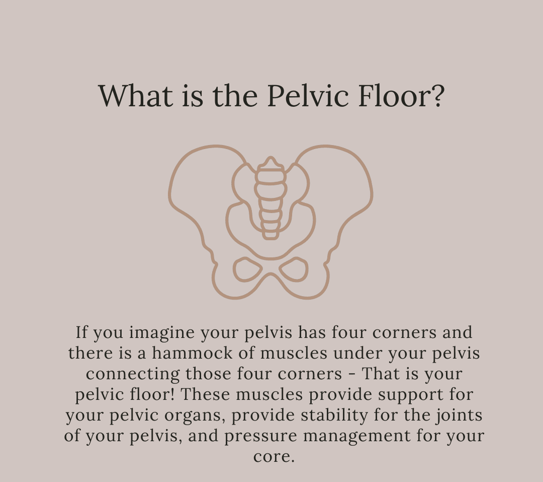 What is Pelvice Floor
